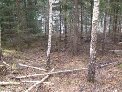 Utöver de möjliga boplatserna framkom ett gränsröse (objekt 5). Inom de utpekade boplatslägena grävdes totalt 15 stycken kvadratmeter stora rutor för hand (se bilaga 1). Objektsbeskrivningar Objekt 1.