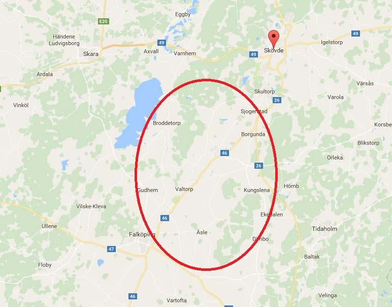 Väg 46, Falköping-Borgunda (väg 26) Kartbild Bristbeskrivning Väg 46 mellan Falköping och Borgunda och vidare mot Skövde utgör en mycket viktig pendlingsväg både för arbets- och studie pendling, den