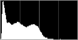Histogram ger en ungefärlig bild av den totala exponeringen när starkt infallande ljus gör det svårt att se fotografierna i monitorn.