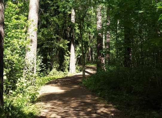 Figur 31 Orienteringskarta Sydvästra Kronparken N 4 Sydvästra Kronparken Nuläge Kronparkens sydvästra del har under relativt lång tid fått utvecklas fritt och har därför mer av naturskogs karaktär,