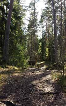 Figur 35 Orienteringskarta Bäcklösa- Natura 2000 N 7. Bäcklösa Natura 2000-område Nuläge Naturmarkerna vid Bäcklösa gränsar till det öppna landskapet längs västra sidan av Dag Hammarskjölds väg.
