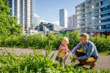 Mark- och vattenanvändning Mark- och vattenanvändning Framtidsbild: Ulriksdal med slottsparken behåller sin karaktär som en av de stora stadsparkerna i Solna och som ett utflyktsmål med natur- och