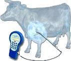 Marknadsplats AktieTorget Gotländska tester av MeatTrac utvecklas väl Som bequoted tidigare berättat om har TracTechnology ett metodpatent som ger spårbarhet för hela kedjan från uppfödning till