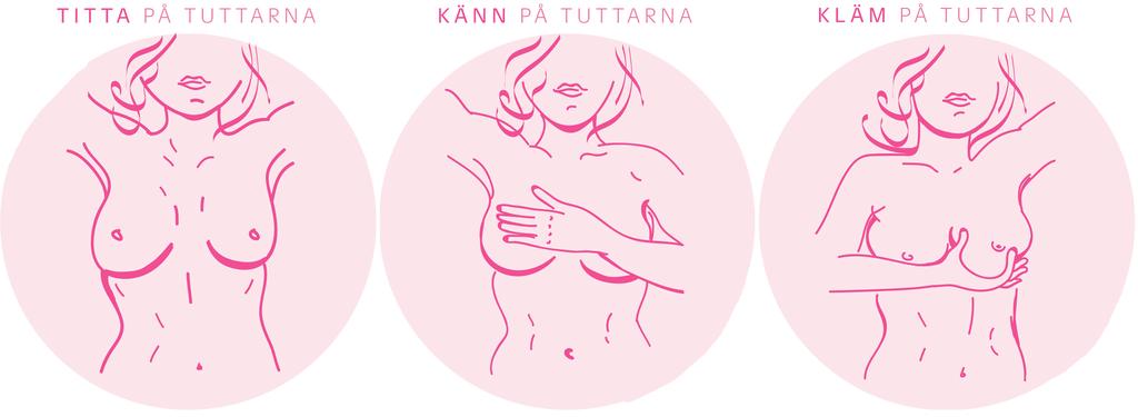 Känner du dina tuttar? - PDF Free Download