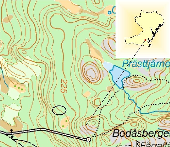 20 2006:8 Flatamon vid Prästtjärn Kommun: Sundsvall Top. karta: 17H5d3E Sandig barrskog med inslag av vanliga lövträd.