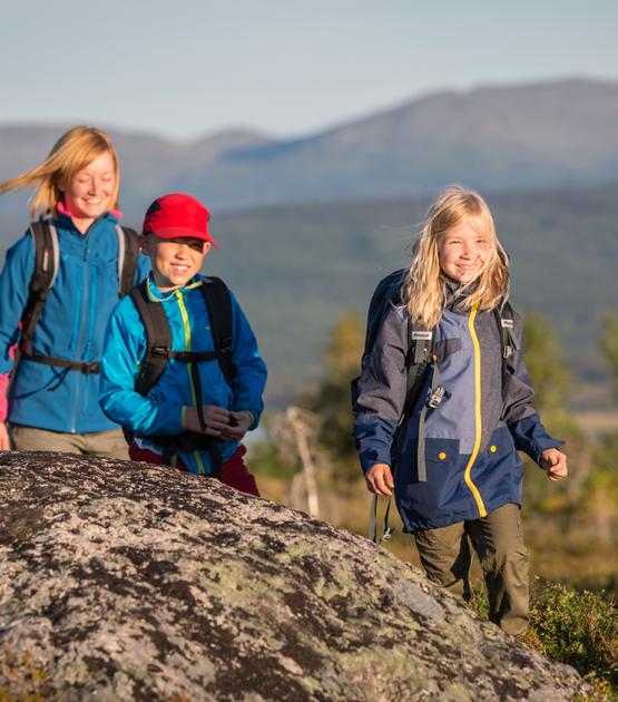 FÖRVALTNING VALBEREDNING, STYRELSE OCH GENERALSEKRETERARE Generalsekreteraren, Lars Lundström och ledningsgruppen skall operativt leda, driva och utveckla Friluftsfrämjandet i enlighet med de