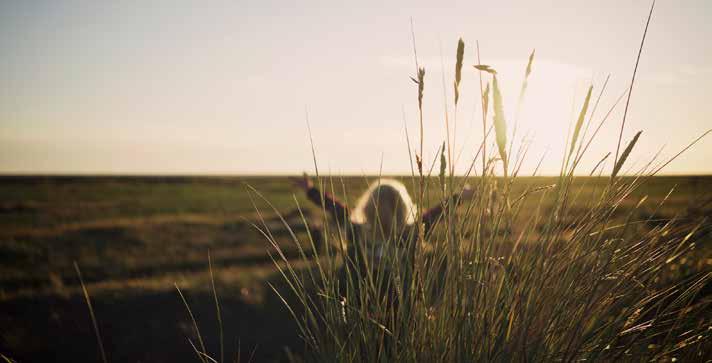 Hälsa Meditation prova på Den här kursen vänder sig till dig som vill veta mer om och prova på meditation. Om intresse finns från gruppen kan det bli fler kurstillfällen. Lärare: Ing-Marie Sönne.