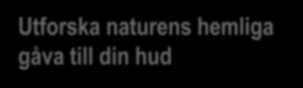 En skattkammare full av ingredienser för frisk hud: