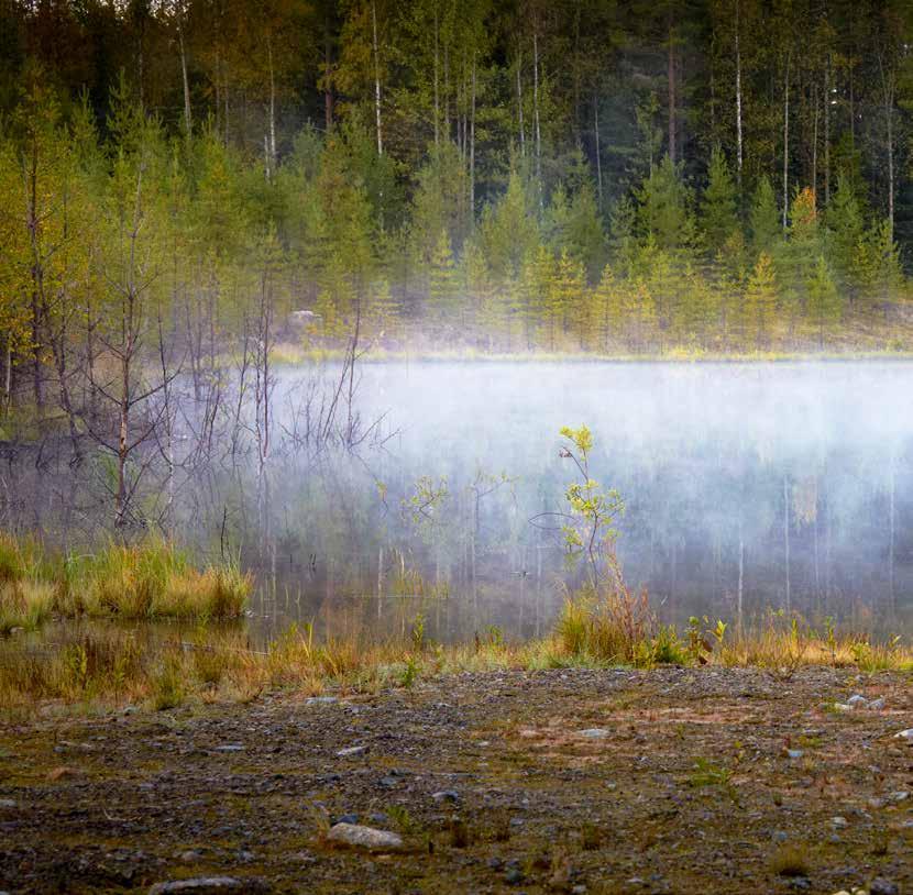 Nedlagd gruva blir levande myrmark TEXT: HELENA ÖRNBERG FOTO: BOLIDEN Pengar avsätts redan från start Innan en ny malmfyndighet kan