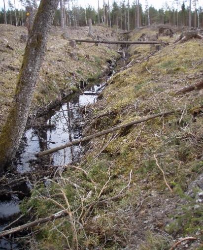 mossen är skvattram, pors, hjortron och inslag av tranbär och sileshår. Den lilla Mossjön är en döende sjö, som om inte allt för länge kommer att försvinna helt och bli till mosse.