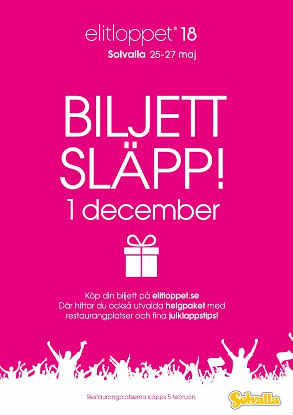 Vad som stoppade henne från att nå de allra största framgångarna var ren och skär otur.