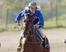 Start : Bankod 0 b ODDS TVILLING Harriet Vanes lopp Montélopp ( bakom bilen) -åriga och äldre 00.00-800.000 kr. 0 m. Monté. Autostart. PLATS Pris: 0.000-.000-9.00-.00-.800-(.00)- (.00) kr.