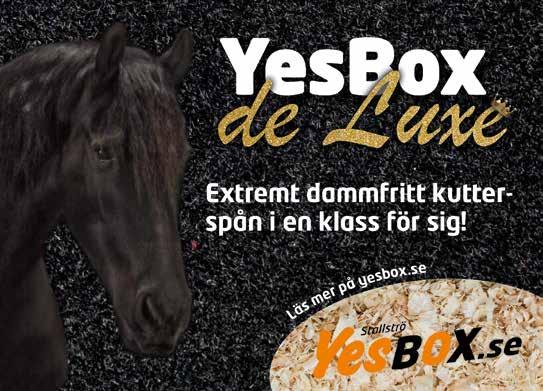 Start : Bankod 0 b ODDS TVILLING Yes box Klass II, Final -åriga och äldre. 0 m. Autostart. Pris: 00.000-0