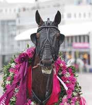 Start :0 ODDS TVILLING LOPP Bankod 0 Hästägarkannan Stayerlopp Nahars Elitloppsminne -åriga och äldre lägst 0.00 kr. 0 m. Tillägg 0 m vid vunna 80.00 kr, 0 m vid 0.00 kr, 0 m vid 0.00 kr, 80 m vid.0.00 kr. PLATS Pris: 00.