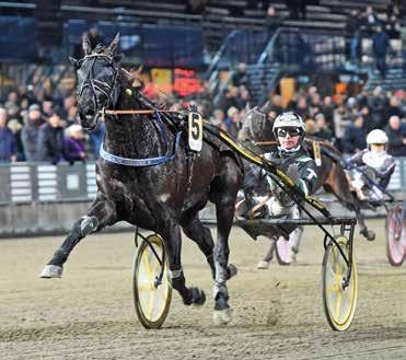 Vi inleder med en rätt klurig upplaga av Stoeliten där Peter Untersteiner spänner bågen med sin kapable 8 Kash Brodda (V-).