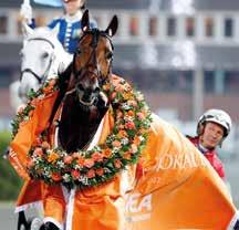 ,0/ 0 meter. En riktigt höjdare var förstås besöket av Bold Eagle till Elitloppet.