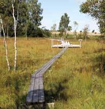 vastkuststiftelsen.se. Ett mycket vackert och geologiskt intressant natur reservat, där bl.a. timjan växer vilt. En bäck har gjort en djup ravin i sluttningen mot Åsle mosse.