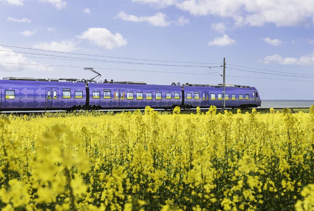 1.1 Utbildningar och utbildningsomgångar Myndigheten utlyser årligen en ansökningsomgång där anordnare kan ansöka om att deras utbildningar ska få ingå i yrkeshögskolan.