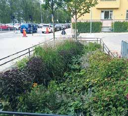 Jordförbättring utförs med utgångspunkt från jordprovsanalysen och med hänsyn till de planterade växternas krav.