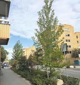 Samordning med ledningar, parkering och angöring, belysning, balkonger, kollektivtrafik med mera måste utföras.