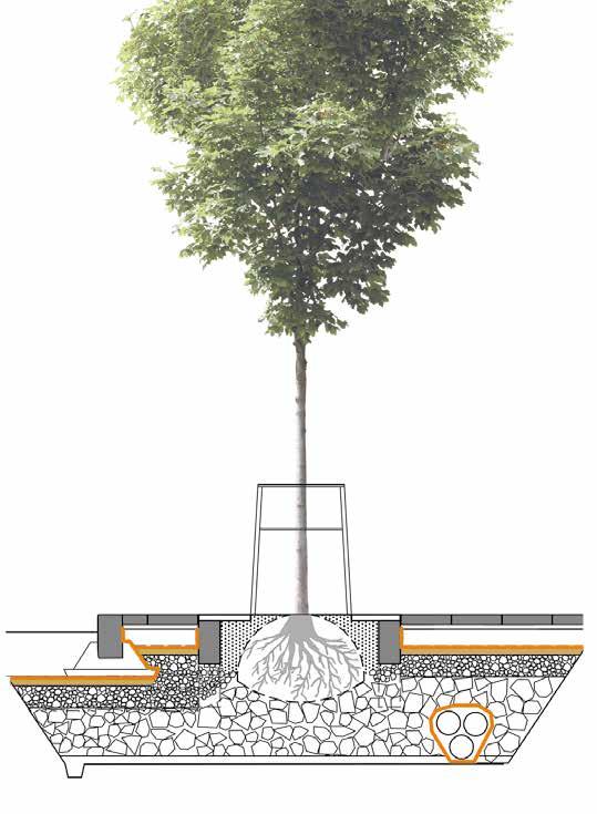 VÄXTBÄDDAR I STADSMILJÖ Princip för skelettjord Trädets rothals placeras på samma nivå som i plantskolan Makadam 2/6 mm + 25 volymprocent blandning