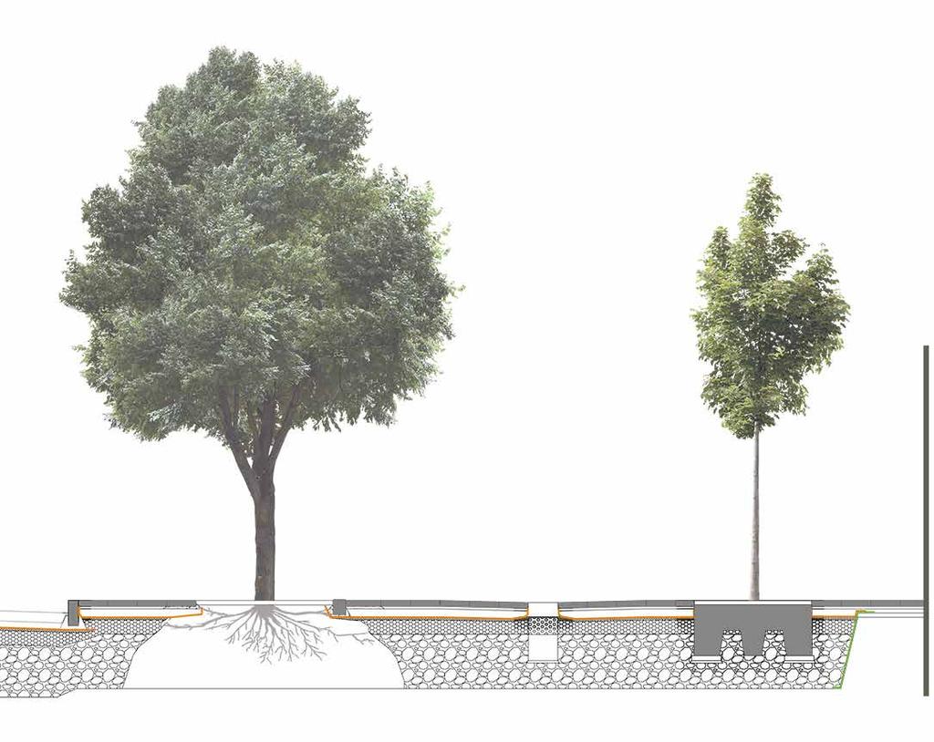 VÄXTBÄDDAR I STADSMILJÖ Några goda råd Underkant på betongmarkplatta ska sättas lägre än trädgropsfundamentets överkant för att undvika sättningar och för att