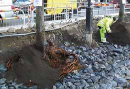 ÅTGÄRDER VID BEFINTLIGA TRÄD Står trädet i en hårdgjord yta sätts minst en luftningsbrunn per träd och växtbädden täcks med geotextil innan markbeläggningens överbyggnad läggs ut.