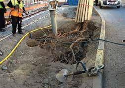 TYPRITNING THVB024 Växtbäddsrenovering på Birger Jarlsgatan. Vakuumschakt / friläggande av rotsystem på vuxna träd med tryckluftslans. Marktäckande vegetation alt.