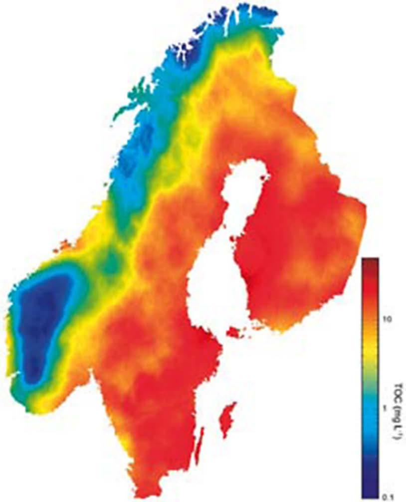 Terrestrial OM export vary over space and