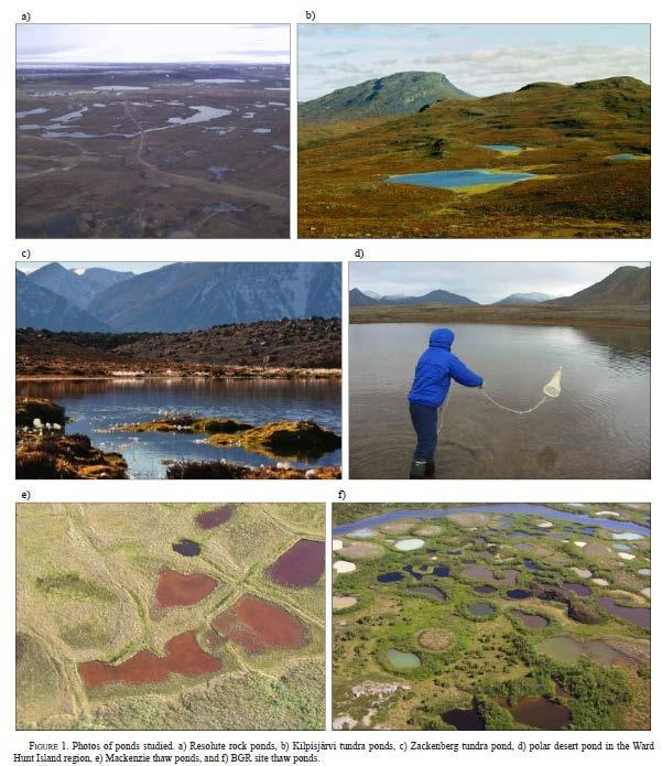 High latitude lakes numerous and diverse Lakes >0.