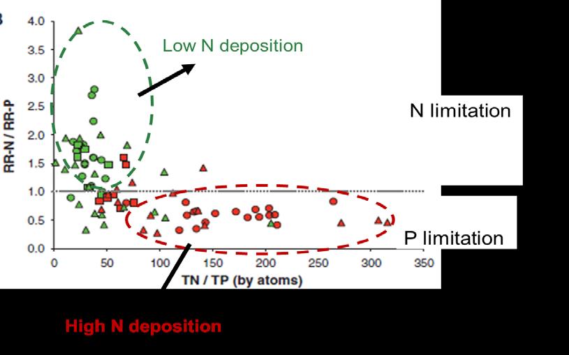 P limited phytoplankton in many natural lakes