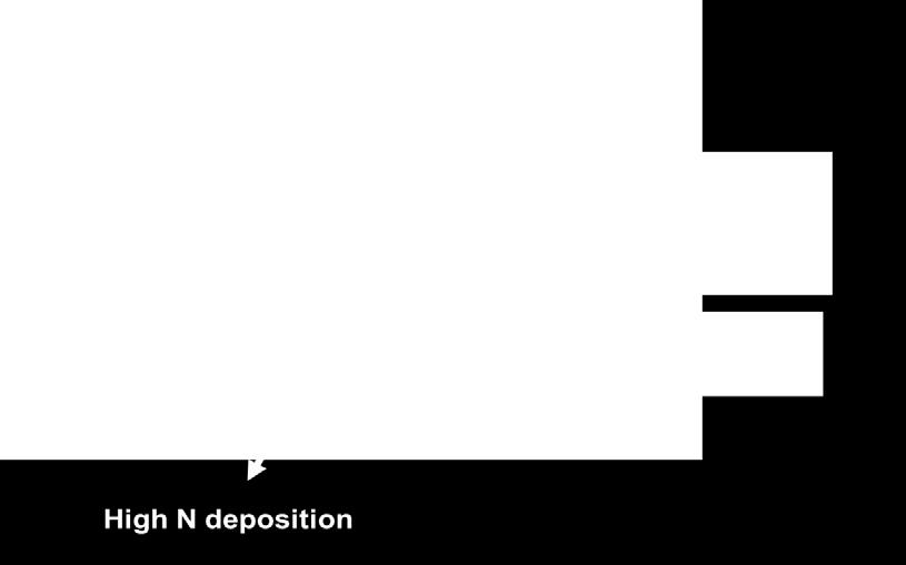 production P limitation paradigm N limited