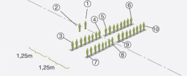 Inom pluton ordnas grupperna på två linjer, vid behov görs utjämning så att luckor inte uppstår i främre linjen.