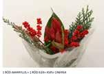 119 6995 3995 Kruka