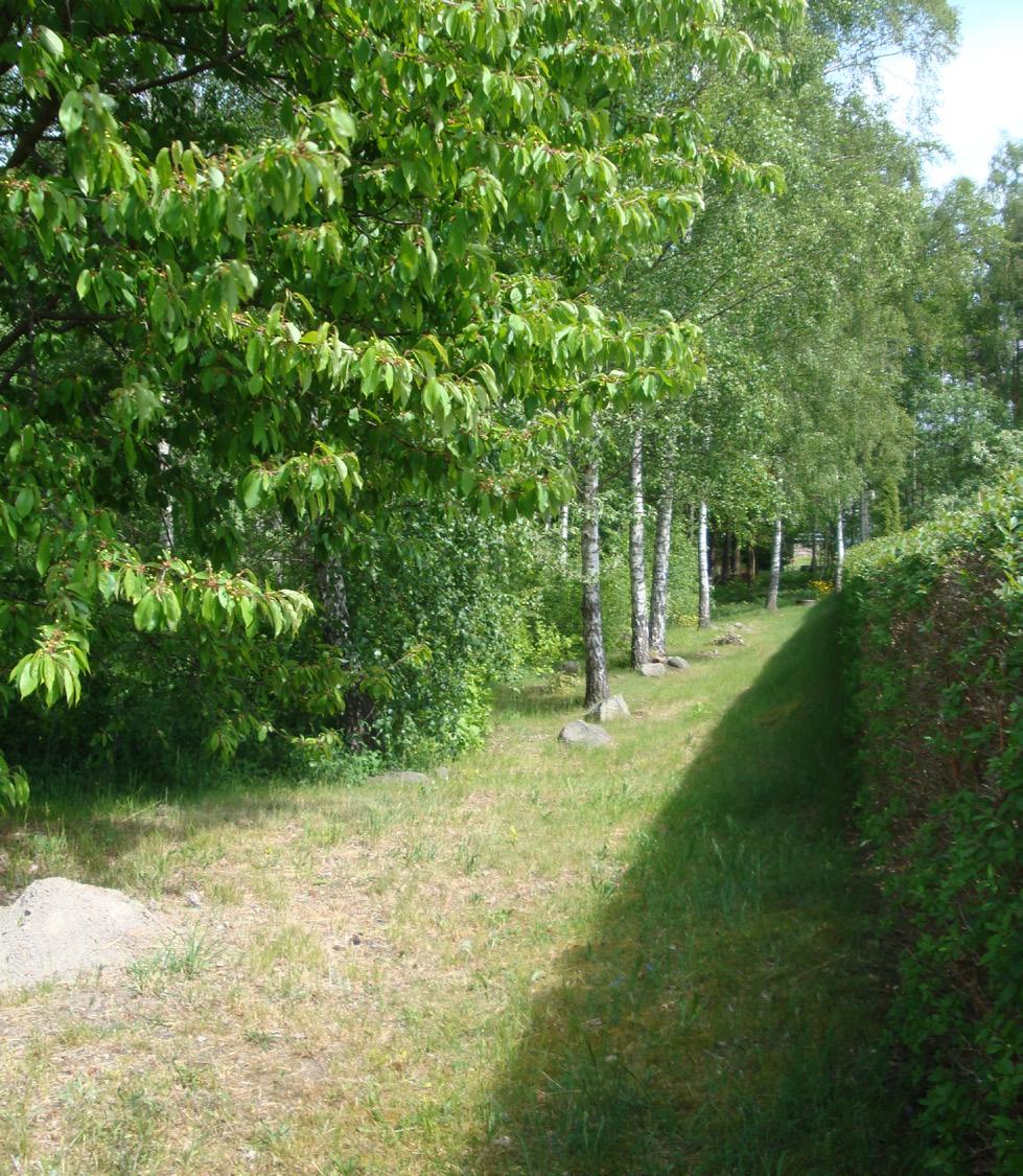 Markplanering Tomten säljs i befintligt skick Kommunens tomter säljs i befintligt skick och det är viktigt att du innan köpet undersöker tomten så att du vet vad du köper.