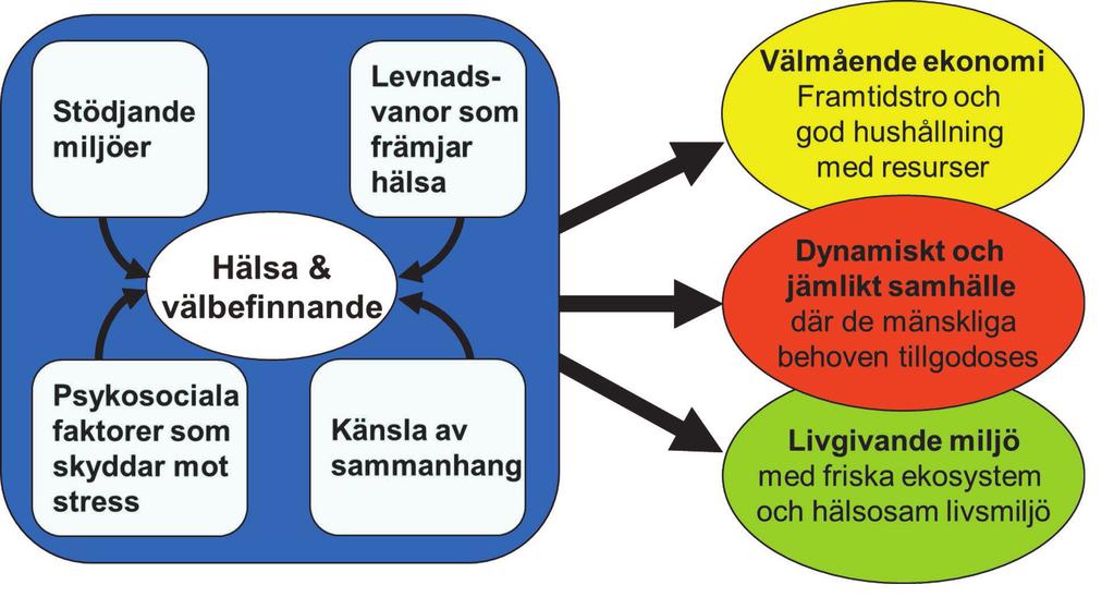 Figur 6: När hälsa främjas genom flera olika strategier uppnås hållbarhetseffekter i omgivningen. processer, tillämpar och stödjer dem och integrerar dem i den sociala och fysiska samhällsplaneringen.