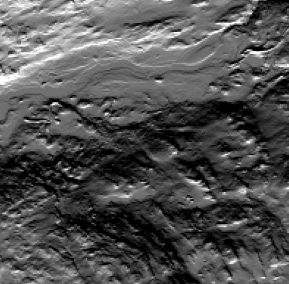 Landsat med NNH data