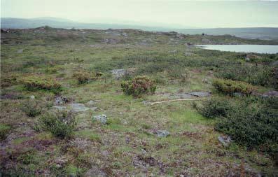 Figur 17. Ålderdomlig kåtatomt med stenläggning mellan härdens kortsidor och vallen. Foto: Roland Larsson. hornhögarna ligger på en torr holme i en blöt myr. Den tredje ligger på en flack udde i sjön.