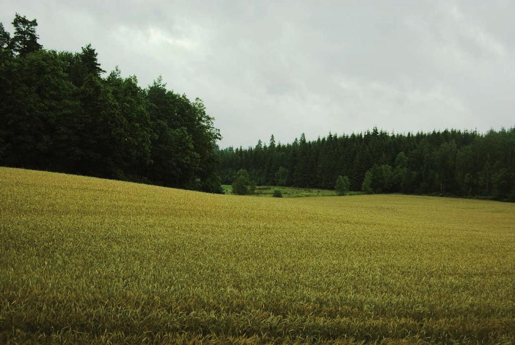Stopp 2 - väg över gammal havsbo en När du ca 2 km söder om Gränumsdal svängt in på en mindre grusväg västerut så passerar du e er ca 2,5 km på denna en kra ledning.