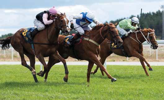 Appelina segrade i Breeders Trophy Classic i fjol och kommer till den här uppgiften från segrar i Cinnamon Challenge och Lanwades Stud Stakes (L).