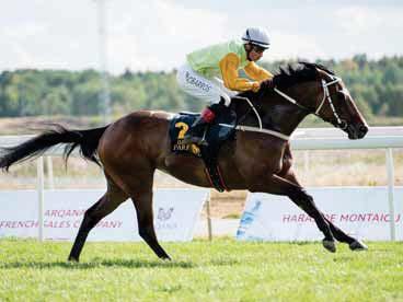 Breeders Trophy Classic Consolation Skyhawk Breeders Trophy Classic Consolation har 200.000 kronor i prissumma och ger möjlighet för de som inte kom med i huvudlöpningen att tävla om fina pengar.