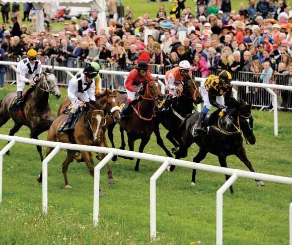 Muteki var femma i Breeders Classic Trial och gick sedan ner till Jägersro och gjorde slarvsylta av sitt tal genom en överlägsen seger i en Treårshandikap.