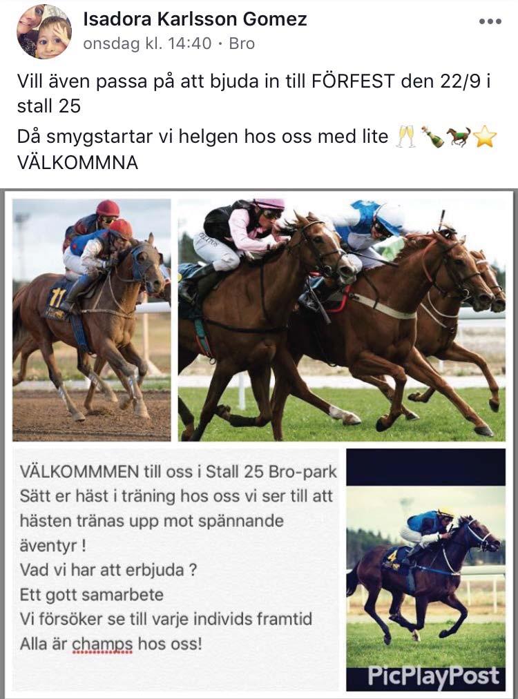 Över 600 tkr i prispengar. MILLIBLOOM (Ft83) Årets sto 2011. 3 segrar inkl Swedish Champion Classic. 1,1 mkr i prispengar.