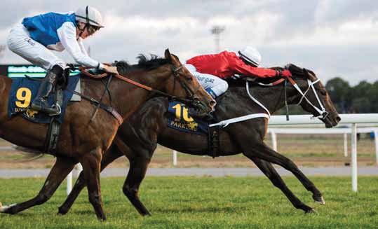 Ulf Byström Guldsmedja i Vällingby presenterar Breeders Trophy Juvenile Snake Lake vinner SM 2-åriga före Appel La Legende.
