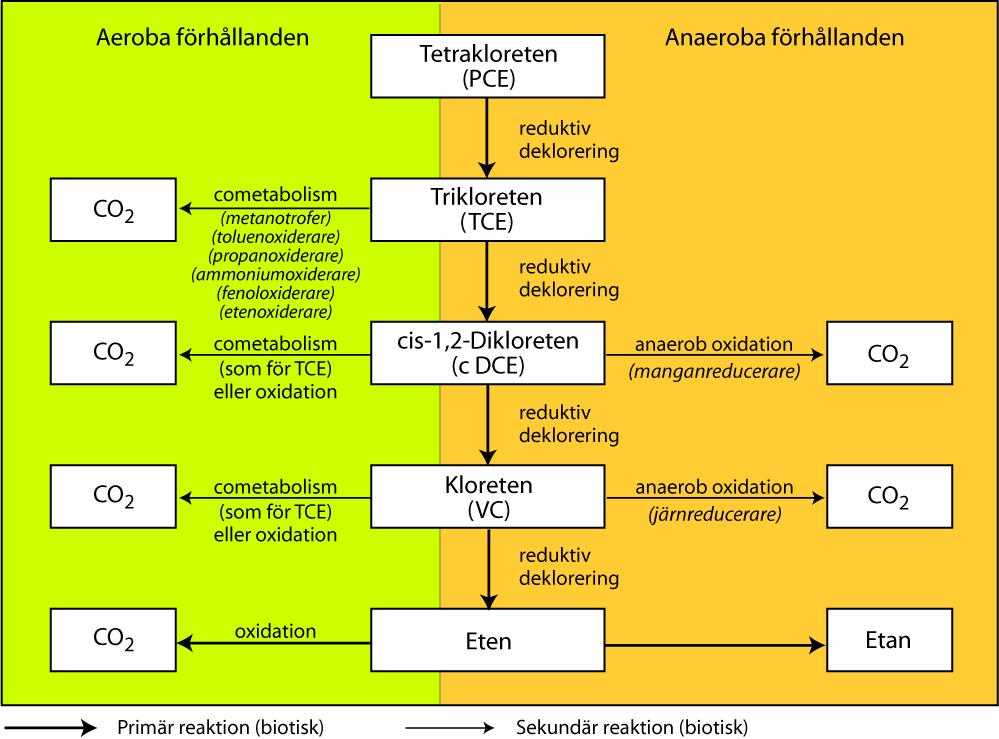 ra04s 2010-12-15 miljö (vissa prov centralt i huvudkällan, i den sekundära källan vid B19 samt i B8 som är belägen i åsens utkant).