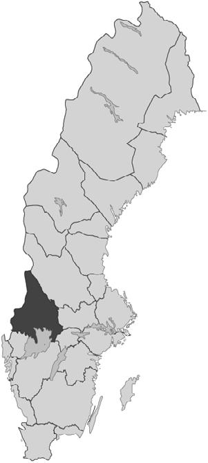 vårt språk, inbegripet dialekterna, påverkas, när vi i allt större utsträckning kommunicerar genom dessa medier.