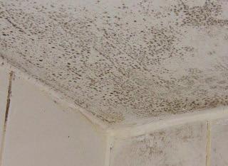 Dålig ventilation gör att fukten stannar kvar och förstör konstruktio- Klämringen runt golvbrunnen släpper över tid och leder till att vat- nen på sikt, samt orsakar mögel vilket i sin tur innebär en