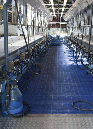 Mjölkrum, industri och storkök PCI GV7500 (epoxibaserade fäst- och fogmassor) För keramiska plattor på väggar och golv till projekt med stora hygienkrav och hög kemisk belastning som inom mejeri,