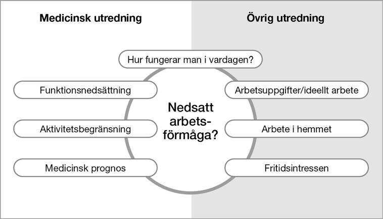 För att kunna göra bedömningen behöver uppgifter inhämtas från olika områden, vilka alla beskriver vad personen klarar eller inte klarar.