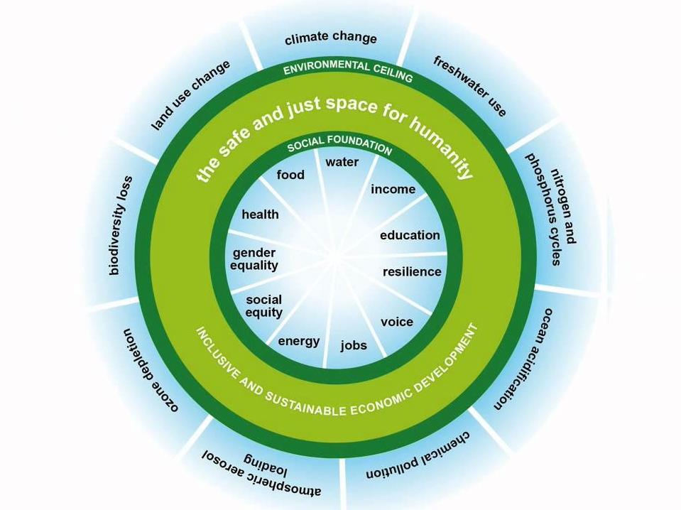 The Sustainable doughnut Kate